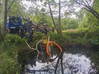 Biotopteich durch illegale Ausbringung von Nordamerikanischen Ochsenfroschlaich in Gefahr - Image